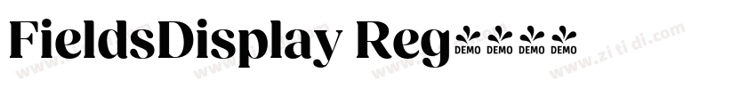 FieldsDisplay Reg字体转换